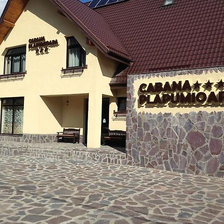 Cabana Plapumioara Crucea Exterior foto
